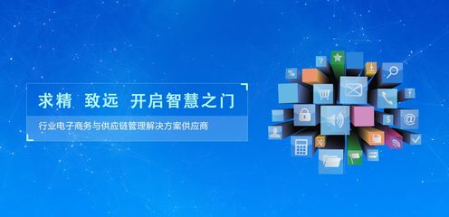 时力科技 行业电子商务与供应链管理解决方案的引领者